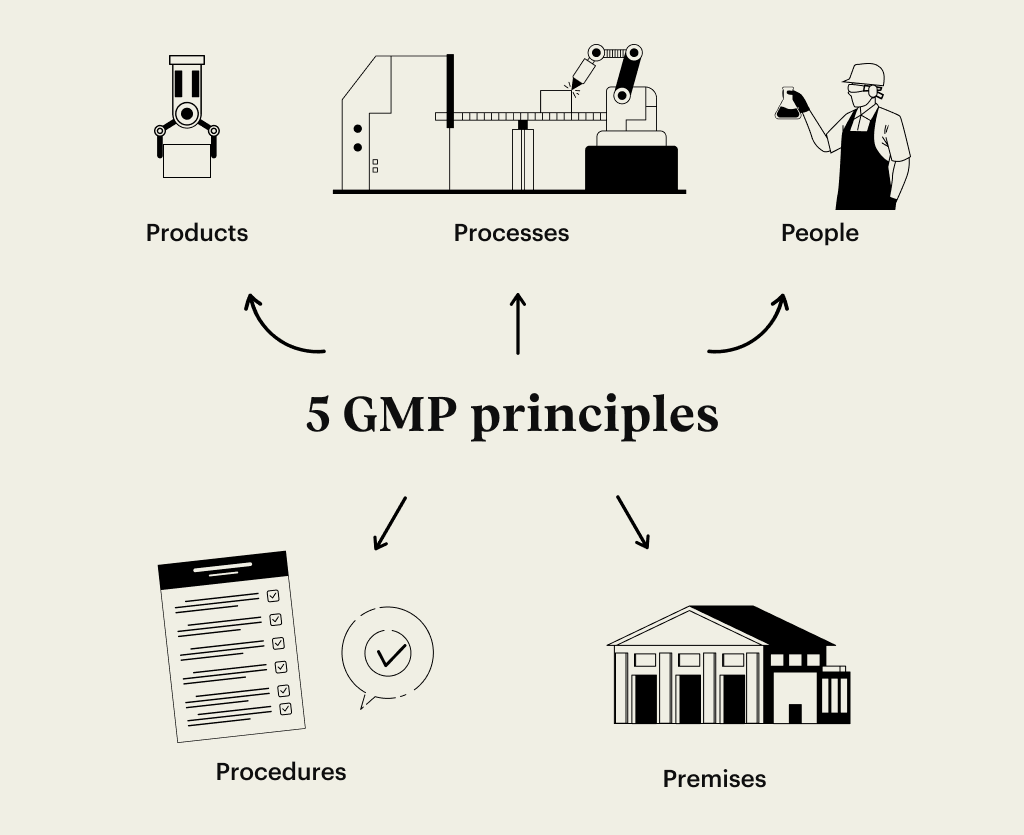 5 GMP principles